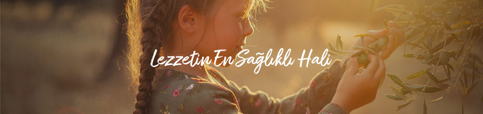 DAMLAYAĞ SAN. VE TİC. LTD. ŞTİ.